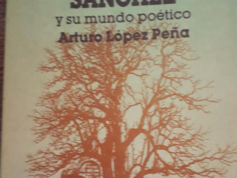 Rafael Jijena Sánchez